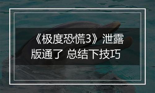 《极度恐慌3》泄露版通了 总结下技巧