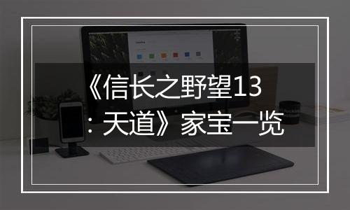 《信长之野望13：天道》家宝一览