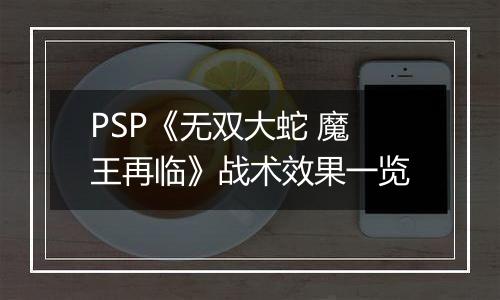 PSP《无双大蛇 魔王再临》战术效果一览