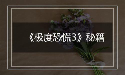 《极度恐慌3》秘籍