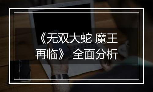 《无双大蛇 魔王再临》 全面分析