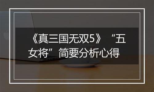 《真三国无双5》“五女将”简要分析心得
