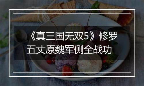 《真三国无双5》修罗五丈原魏军侧全战功