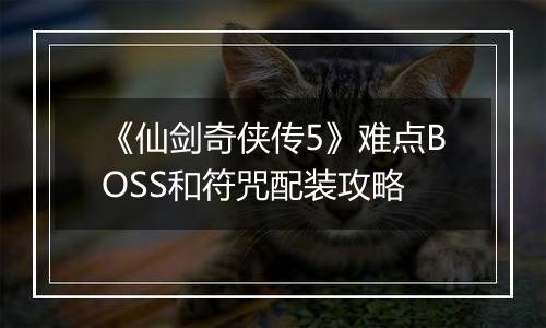 《仙剑奇侠传5》难点BOSS和符咒配装攻略