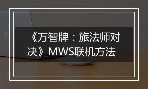 《万智牌：旅法师对决》MWS联机方法