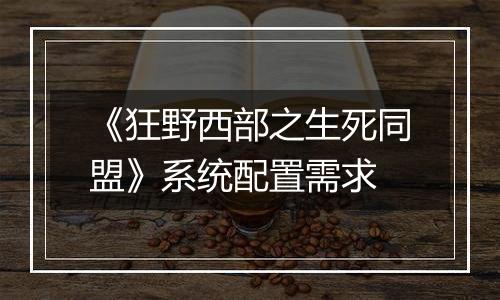 《狂野西部之生死同盟》系统配置需求