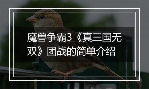 魔兽争霸3《真三国无双》团战的简单介绍