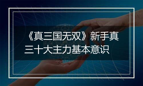 《真三国无双》新手真三十大主力基本意识