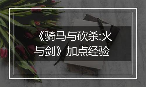 《骑马与砍杀:火与剑》加点经验
