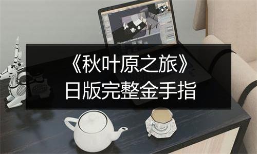 《秋叶原之旅》日版完整金手指