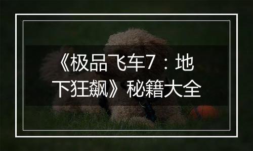 《极品飞车7：地下狂飙》秘籍大全