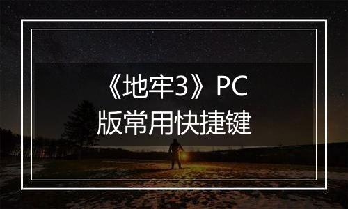 《地牢3》PC版常用快捷键