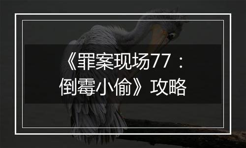 《罪案现场77：倒霉小偷》攻略