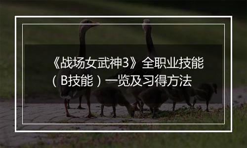 《战场女武神3》全职业技能（B技能）一览及习得方法