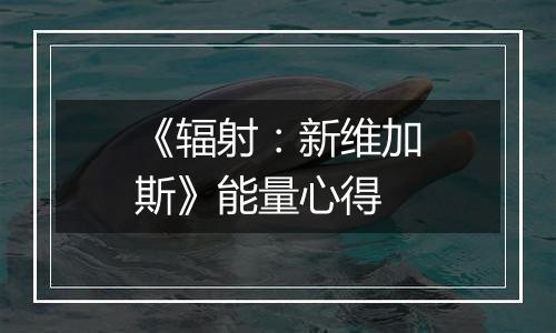 《辐射：新维加斯》能量心得