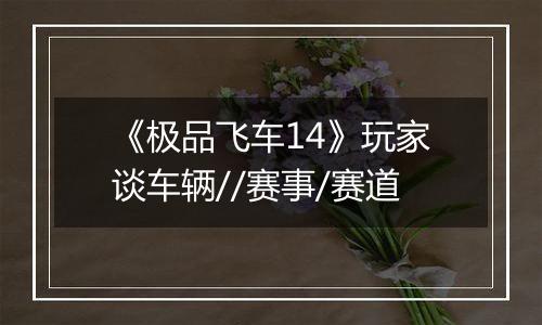 《极品飞车14》玩家谈车辆//赛事/赛道