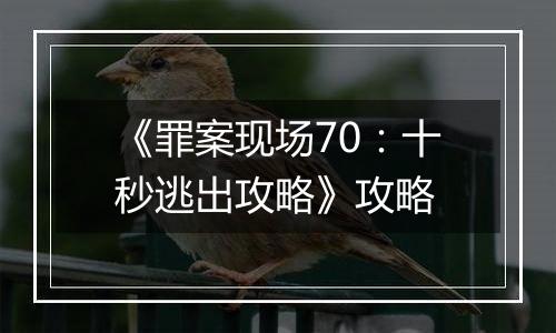 《罪案现场70：十秒逃出攻略》攻略
