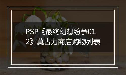 PSP《最终幻想纷争012》莫古力商店购物列表