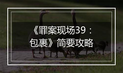 《罪案现场39：包裹》简要攻略