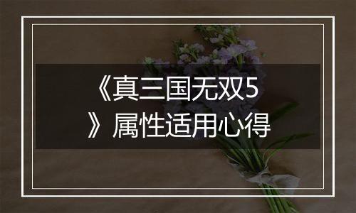 《真三国无双5》属性适用心得