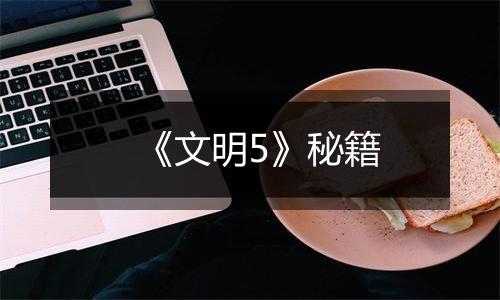 《文明5》秘籍