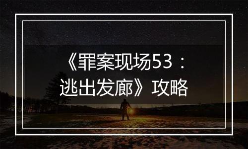 《罪案现场53：逃出发廊》攻略