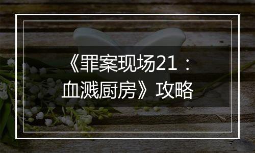 《罪案现场21：血溅厨房》攻略