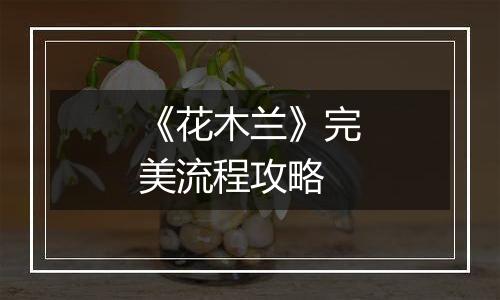 《花木兰》完美流程攻略