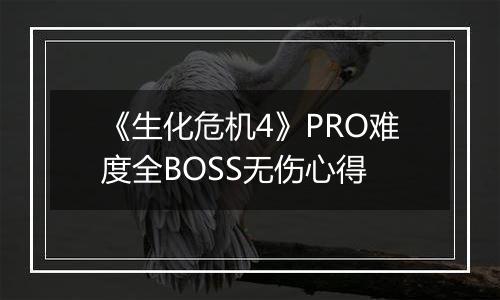 《生化危机4》PRO难度全BOSS无伤心得