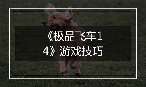 《极品飞车14》游戏技巧