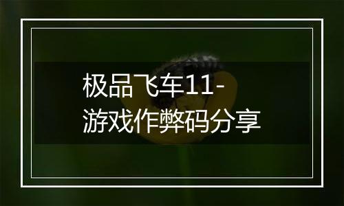 极品飞车11-游戏作弊码分享