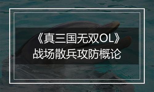 《真三国无双OL》战场散兵攻防概论