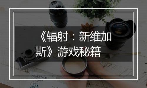 《辐射：新维加斯》游戏秘籍