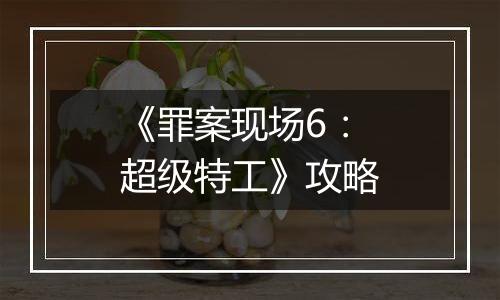 《罪案现场6：超级特工》攻略