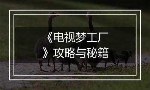 《电视梦工厂》攻略与秘籍