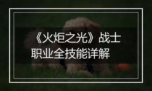 《火炬之光》战士职业全技能详解