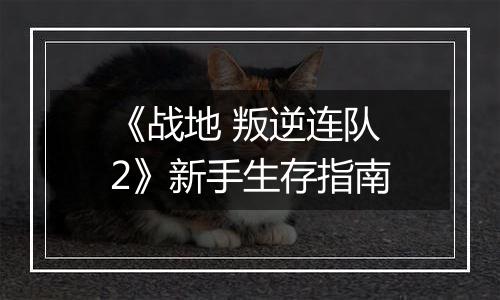 《战地 叛逆连队2》新手生存指南