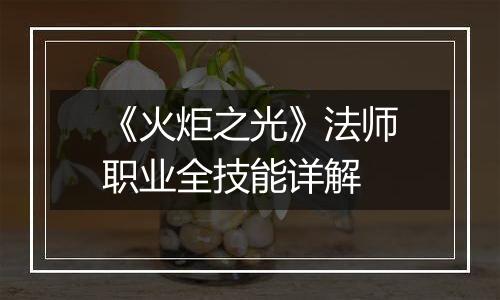 《火炬之光》法师职业全技能详解