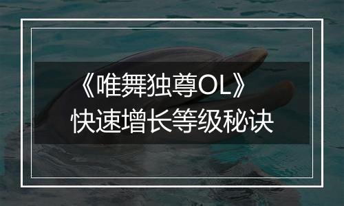 《唯舞独尊OL》快速增长等级秘诀