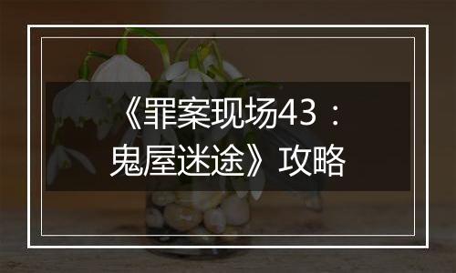 《罪案现场43：鬼屋迷途》攻略