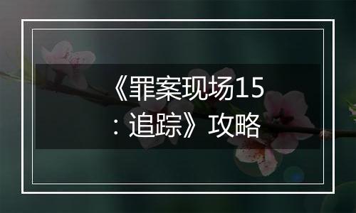 《罪案现场15：追踪》攻略