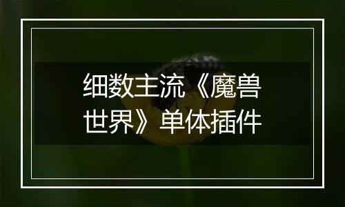 细数主流《魔兽世界》单体插件