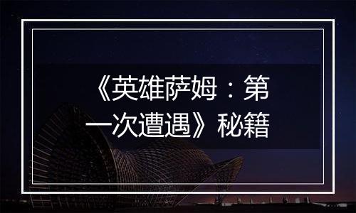 《英雄萨姆：第一次遭遇》秘籍