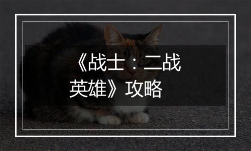 《战士：二战英雄》攻略