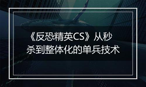 《反恐精英CS》从秒杀到整体化的单兵技术