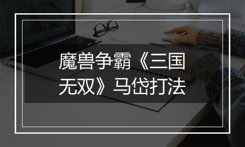魔兽争霸《三国无双》马岱打法