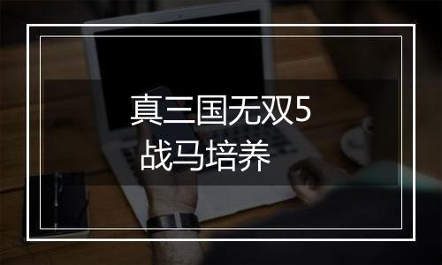 真三国无双5 战马培养