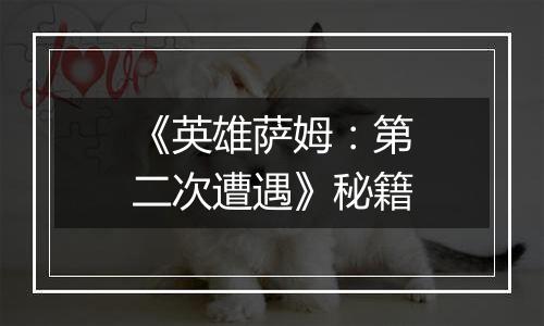 《英雄萨姆：第二次遭遇》秘籍