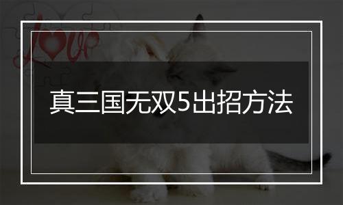 真三国无双5出招方法