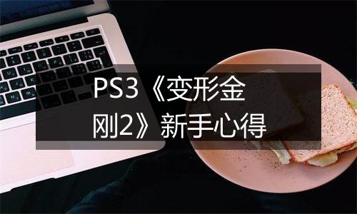 PS3《变形金刚2》新手心得
